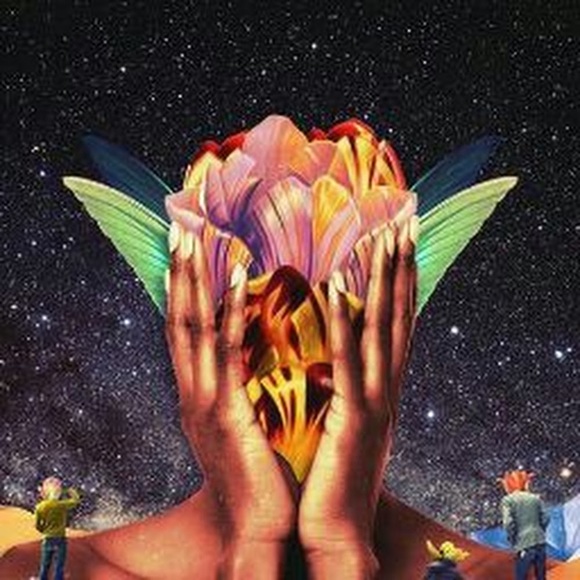 Meet your Posher, Lameka - Picture 1 of 4